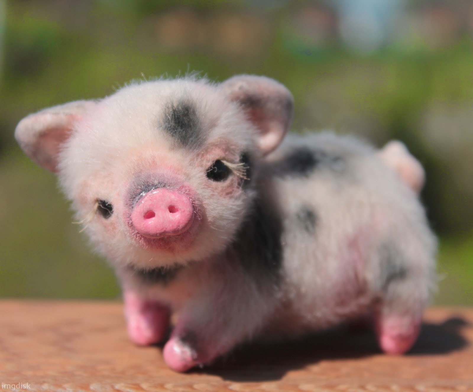 Шитье звериков [5]_0.jpg